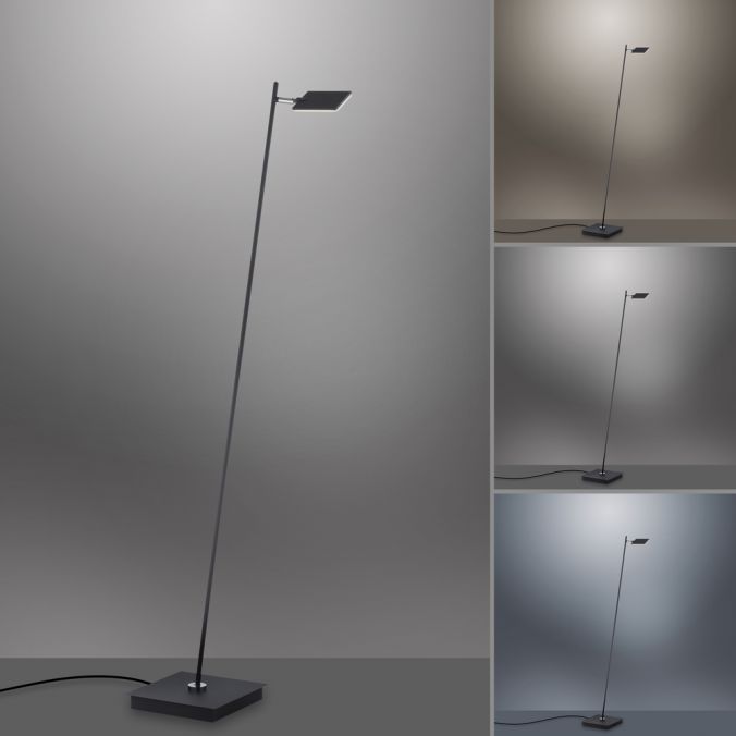 Paul Neuhaus Paul Neuhaus PURE MIRA LED Stehleuchte anthrazit dimmbar Fußbschalter Tägliche Deals