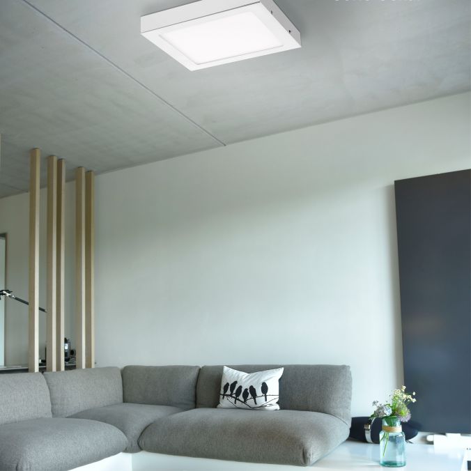 Paul Neuhaus LED-Einbauleuchte, weiß, quadratisch, warmweiß, dimmbar, blendfrei, modern Sonderangebot der Fabrik