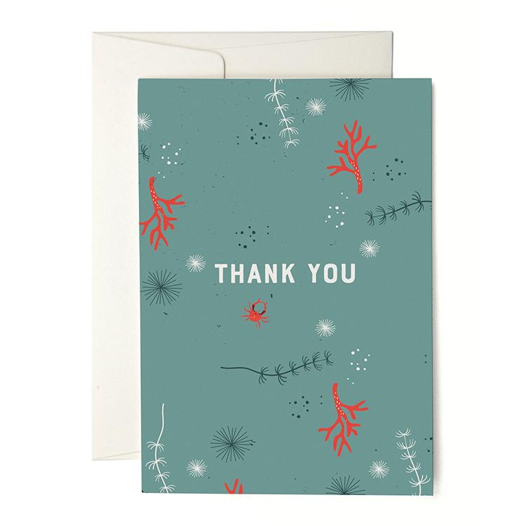 Pleased To Meet Corals Grusskarte Online Shopping