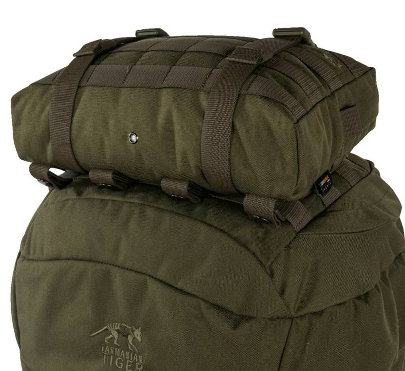 Tasmanian Tiger TT Tac Pouch 10			Rucksack-Zubehörtasche (4L) Auslauf